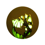 Bague Dragon<br> Lumineux "Acier" - Dragon-chinois