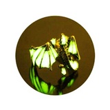 Bague Dragon<br> Lumineux "Acier" - Dragon-chinois